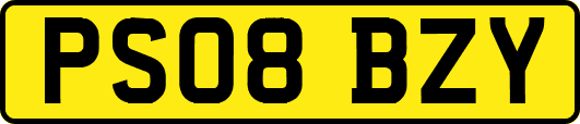 PS08BZY