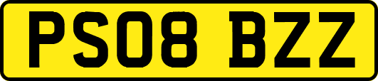 PS08BZZ