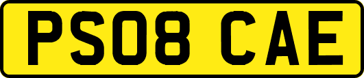 PS08CAE
