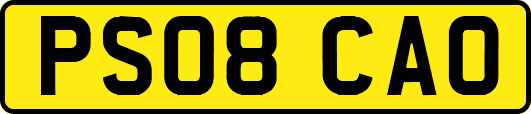 PS08CAO