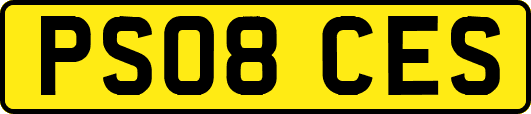 PS08CES