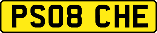 PS08CHE
