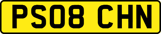 PS08CHN