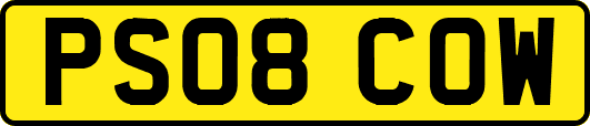 PS08COW