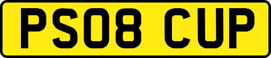 PS08CUP