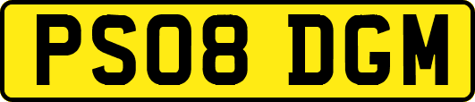 PS08DGM