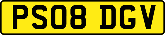 PS08DGV