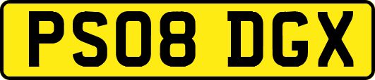 PS08DGX
