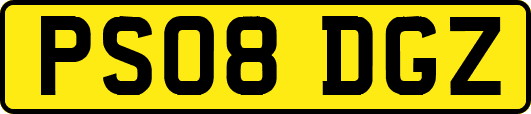 PS08DGZ
