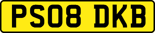 PS08DKB
