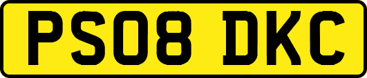 PS08DKC