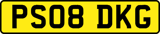 PS08DKG