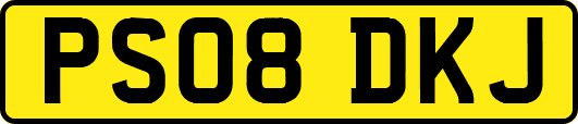 PS08DKJ