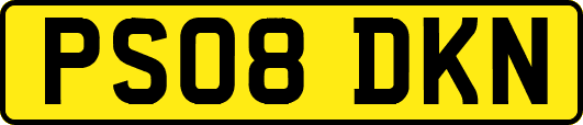 PS08DKN