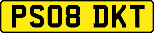 PS08DKT