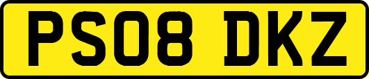 PS08DKZ