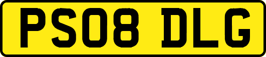PS08DLG