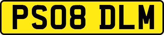 PS08DLM