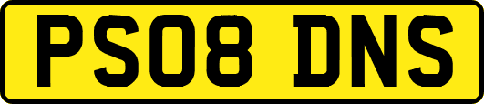 PS08DNS