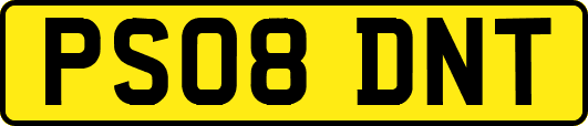 PS08DNT