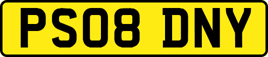 PS08DNY
