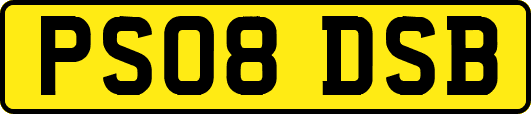 PS08DSB