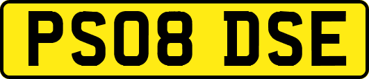 PS08DSE