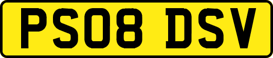 PS08DSV