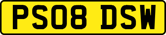 PS08DSW