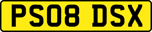 PS08DSX