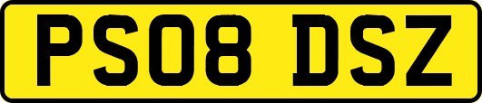 PS08DSZ