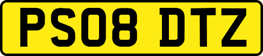 PS08DTZ