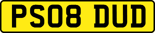 PS08DUD