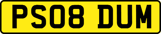 PS08DUM