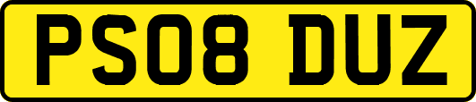 PS08DUZ