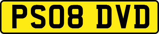 PS08DVD
