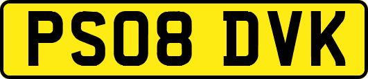 PS08DVK
