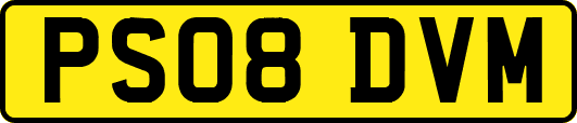 PS08DVM