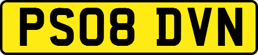 PS08DVN