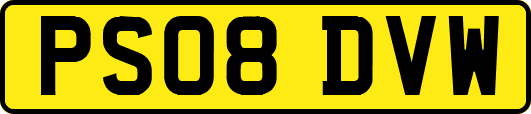 PS08DVW