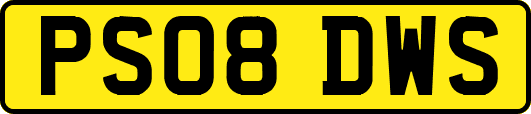 PS08DWS