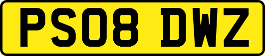 PS08DWZ