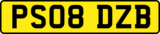 PS08DZB