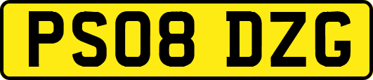 PS08DZG