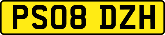 PS08DZH