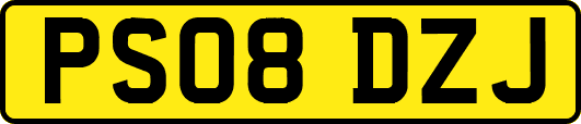 PS08DZJ