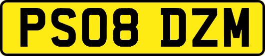 PS08DZM