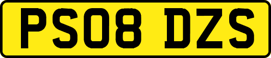 PS08DZS