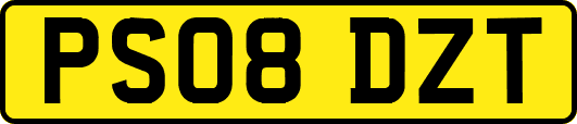 PS08DZT