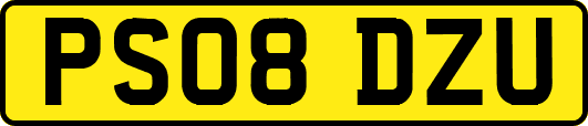 PS08DZU